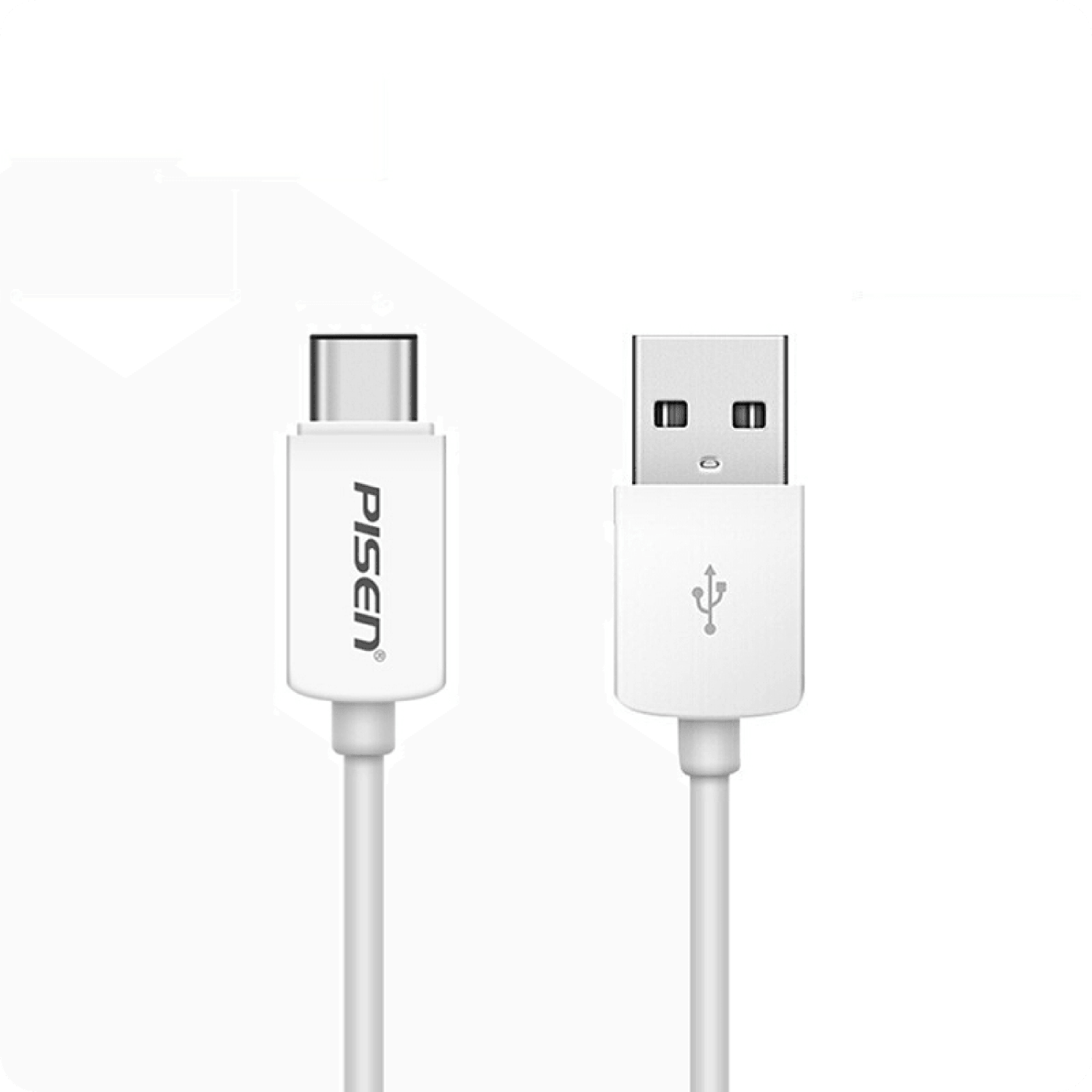 PISEN Mr White A to C Cable