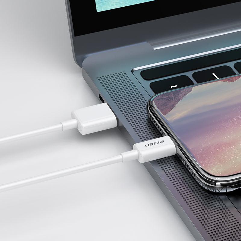 PISEN Mr-White USB-A to Lightning Cable 1000mm AL05
